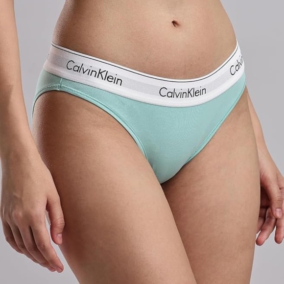 CALVIN KLEIN Modern Cotton Stretch Bikini Briefs Beau Blue Size Medium - Picture 2 of 12